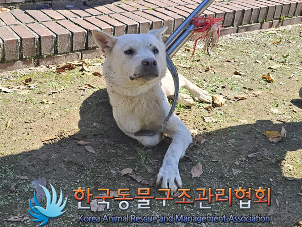 한국동물구조관리협회_441560202301115